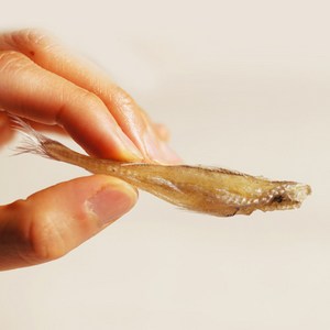 해야미 앵치노가리 300g, 1개, 300