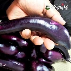 식탐대첩 국내산 못난이 가지 2kg, 1개