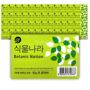 식물나라 비누 100g x 48-히노끼 퓨어바, 48개