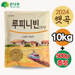 호주산 루피니빈 콩 루핀콩, 5개, 2.1kg