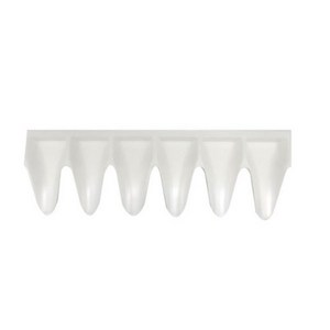 약삽 6홀(6조 6칸)/약주걱, 1개