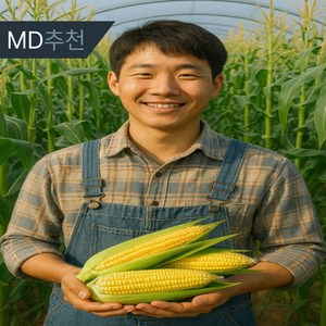 [청년농부들] 25년 햇 초당옥수수 21bix 초고당도, 1박스, 중품 10개 (10cm 이상)