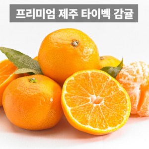 나만의건강by설리마켓 고당도 프리미엄 제주 조생 타이벡 감귤, 1박스, 5kg 로얄과