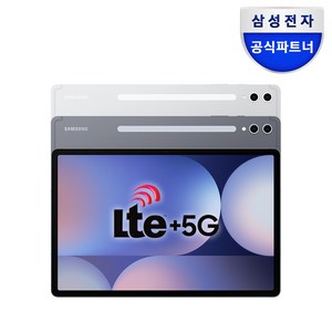 삼성전자 갤럭시탭 S10 플러스 256GB/512GB, Wi-Fi, 256GB, 문스톤 그레이