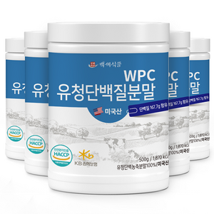 WPC 유청단백질 분말 500g 통 미국산100% HACCP 인증제품, 5개