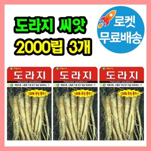 도라지 씨앗 (합 6000립) 국산종자 도라지종자 씨, 3개