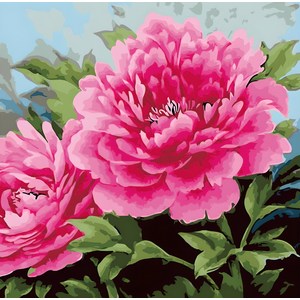 모모픽스페인팅 DIY 명화그리기 세트 40 x 50 cm, 부귀화 목단, 1개