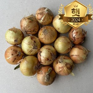 국내산 햇 양파 최상품, 양파5kg(특), 1개