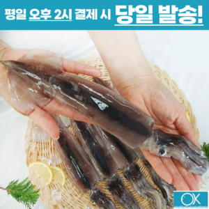 국내산 선동 급냉 초코오징어 통오징어 5미 10미 1kg 통찜용 숙회용 초콜렛오징어, 소(130g전후 x 6미), 1개