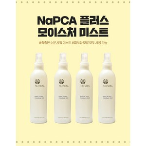 뉴스킨 NaPCA 모이스처 미스트, 250ml, 4개