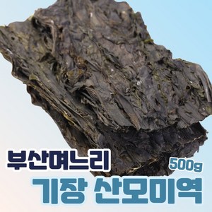 부산며느리 기장 미역 산모용 선물, 1개