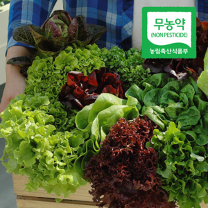 파머스에프디 싱싱한 유럽 유러피안 샐러드 채소 모듬 4-5종, 1kg, 1개