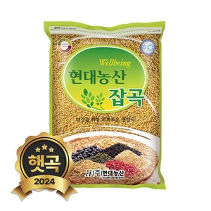 현대농산 국산 찰기장 2kg, 1개