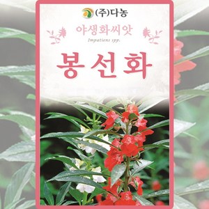 봉선화씨앗- 8g(약10ml) 실내정원 가정원예 가드닝 야생화 꽃씨 화훼종자, 1개