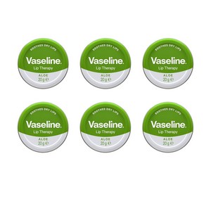 VASELINE 바세린림밤 20g 바세린립테라피 립케어 보습/케어 립밤, ALOE VERA, 6개