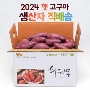 산지직송 해들녘 무농약 고창 꿀 고구마 3kg 5kg 10kg (한입/중/특상/왕), 1개, 해들녘고구마 3kg (왕 사이즈)