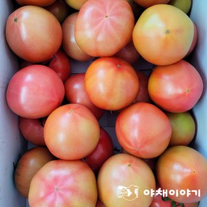 야채이야기 맛있는 완숙토마토 5kg, 1개
