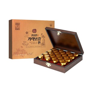 한삼인 기력보감환 25환 x 3.75g + 쇼핑백, 93.75g, 1개