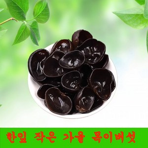 한잎 검정 가을 작은 목이버섯 말린 목이버섯 중국산, 1개, 1kg