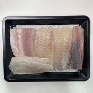 국내산 모듬회 필렛 원물 1.2kg 제철 숙성회 3-4가지 창원맛집 진해 동부회센타 오늘출발 내일도착! [원산지:국산], 1개