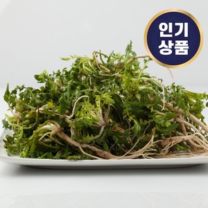 산지직송 해풍맞은 제철 냉이 싱싱한 손질 냉이 세척냉이 흙냉이 봄나물, 1개, 세척 냉이 500g