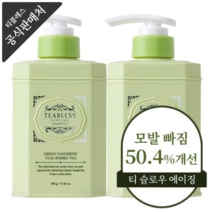 티블레스 콤부티 퍼퓸 탈모 증상완화 샴푸 시트러스우디향, 2개, 500ml