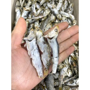 국내산 남해안 햇 통영 고노리 멸치(중품 다시용 육수용 업소용), 1개, 1.5kg