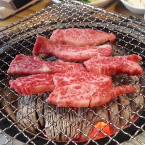 [빌리푸드] 1++ 한우 구이용 등심500g 특수부위(살치살+갈비살+업진살+부채살)500g, 1세트, 1kg