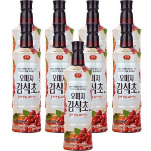 광야식품 오미자감식초 베이스 970ml, 9개