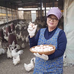 난각번호 1번 자연방사 백봉오골계 유정란 40알, 10구, 4개