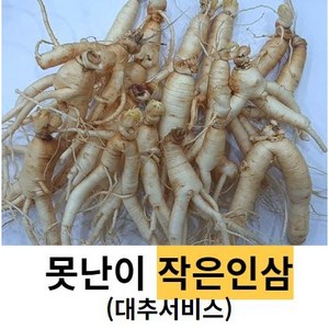 못난이 작은 파삼 세척못난이 40-50뿌리 금산인삼 수삼 파삼, 300g 15-20뿌리세척 (0) +못난이대추(30g), 1개