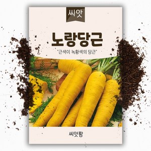 노랑당근 씨앗 (500립) 당근씨앗, 1개