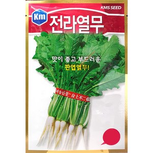 전라열무 열무씨앗 30g KMS종묘 23년, 1개