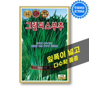 부추씨앗 15g 고급종 다수확 품종 부추 씨 종자, 1개