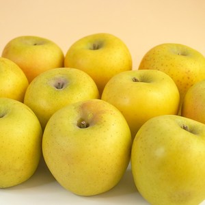 [더조은푸드] 황금사과 시나노골드 가정용 3kg, 시나노골드 가정용 3kg(10과-14과), 1개