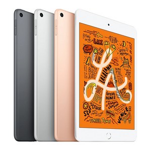 Apple iPad mini 5세대, 스페이스 그레이, 256GB, Wi-Fi+Cellula