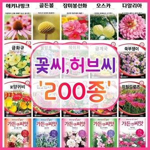 꽃씨 200종 꽃씨앗 꽃씨몰 다년생 월동 꽃 씨앗 세트 야생화 종자 / 코스모스 국화 제라늄 구절초 겹접시꽃 버들마편초 금어초 양귀비씨앗 메리골드 스토크 금어초 네모필라 꽃잔디, 1개