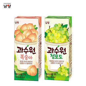 남양 과수원 190ml x 48팩(2box), 1개, 과수원 복숭아24팩+청포도24팩, 48팩