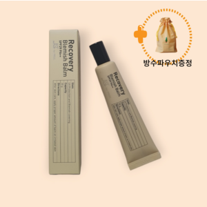 ASF 리커버리 블레미쉬밤 20g(재생비비크림) +휴대용방수파우치, 20g, 1개