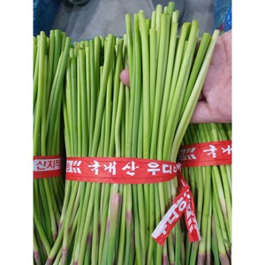 국내산 창녕 마늘쫑 부드러운 햇마늘쫑, 1개, 10kg