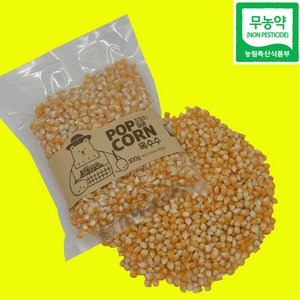 강원도 국내산 100% 무농약 Non GMO 팝콘용옥수수, 1개, 300g