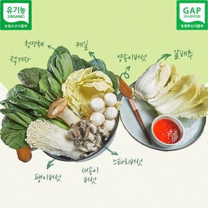 프레쉬업 만인산농협 GAP 유기농 버섯 샤브샤브용 모둠채소 1kg 8종, 신선 채소, 1세트