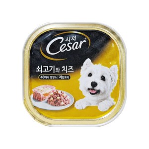 시저 애견간식 캔, 쇠고기와 치즈 (1세 이상), 100g, 6개