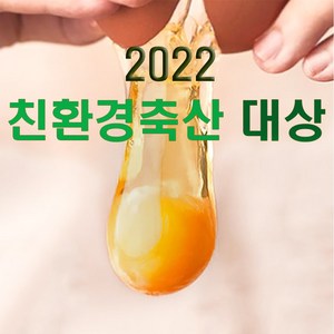 유기농 1등급 방목 난각 번호 1번 계란 유정란 달걀 자연 자유 방사 친환경 무항생제 정기배송, 20구, 1개