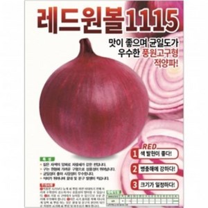 아시아종묘 씨앗 적양파 레드원볼1115 100g, 1개