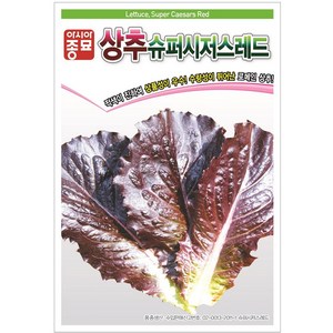 [모종심는아빠] 붉은색이 더욱 선명한 로메인 상추 슈퍼시저스레드 씨앗 1000립, 1개