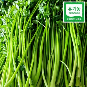 순창 가이아농장 남다른 향기 유기농미나리 200gx1개, 1개, 200g