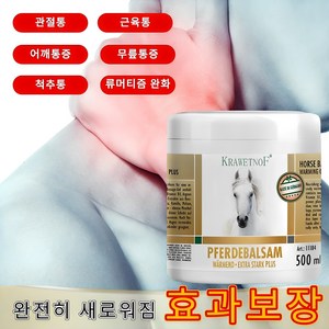 [효과강화] 독일수입 소염진통제 관절약추천 류마티스 관절통 손가락통증 근육통크림 허리통증 팔목통증, 1개, 250g