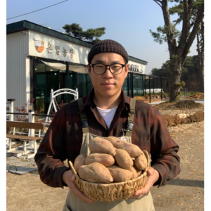 은일농장 강화 속노랑고구마 3kg 5kg 10kg 은일농장 직접 재배한 강화도 호박고구마, 한입 3kg, 1개