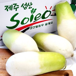 달큰한 제주 세척 월동무 겨울무 2kg 4kg 8kg 김장무 동치미무, 1개, 4kg (4~5입)